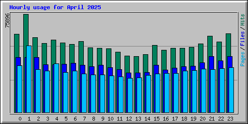 Hourly usage for April 2025
