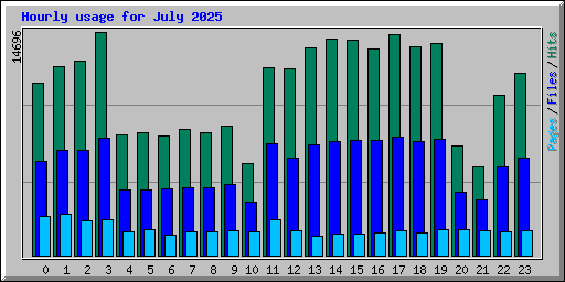Hourly usage for July 2025