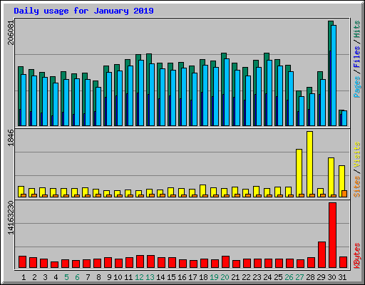 Daily usage for January 2019