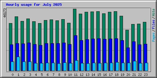 Hourly usage for July 2025